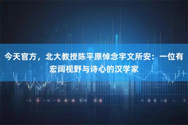今天官方，北大教授陈平原悼念宇文所安：一位有宏阔视野与诗心的汉学家