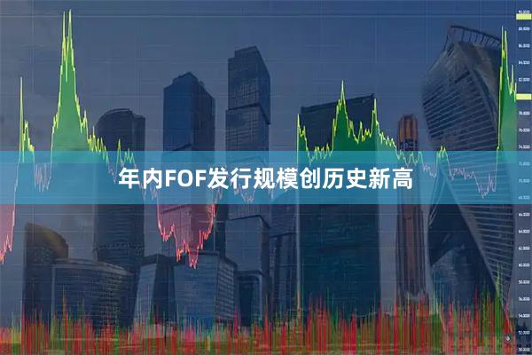 年内FOF发行规模创历史新高
